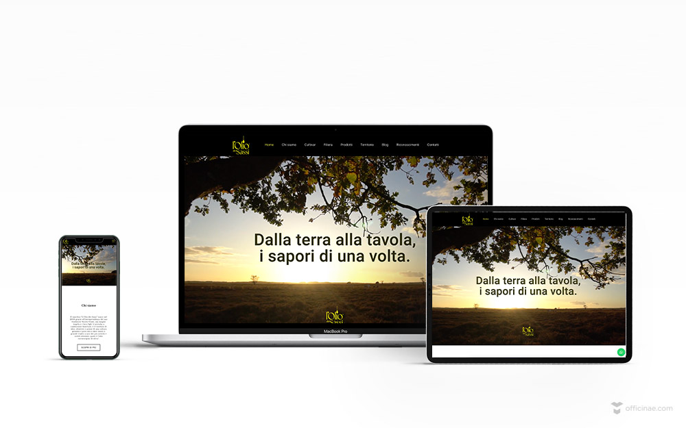 mockup sito web responsive olio dei sassi portfolio officinae lean digital marketing